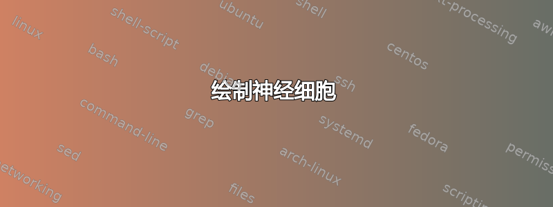 绘制神经细胞