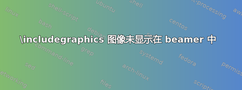 \includegraphics 图像未显示在 beamer 中 