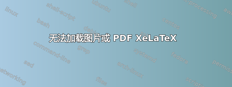 无法加载图片或 PDF XeLaTeX 