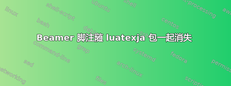 Beamer 脚注随 luatexja 包一起消失