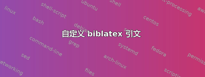 自定义 biblatex 引文