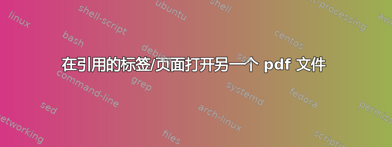 在引用的标签/页面打开另一个 pdf 文件