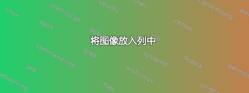 将图像放入列中