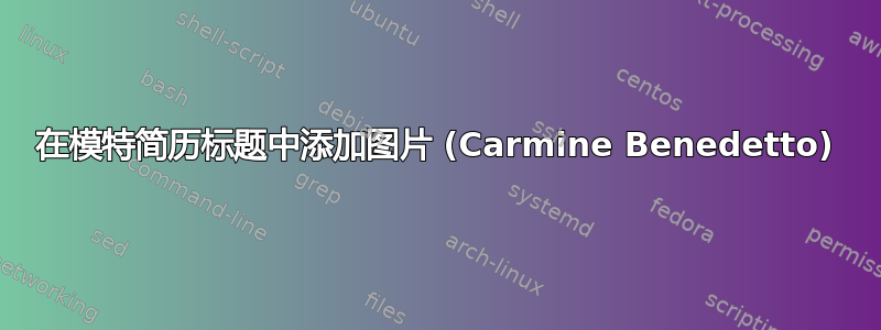 在模特简历标题中添加图片 (Carmine Benedetto)