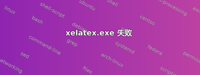 xelatex.exe 失败