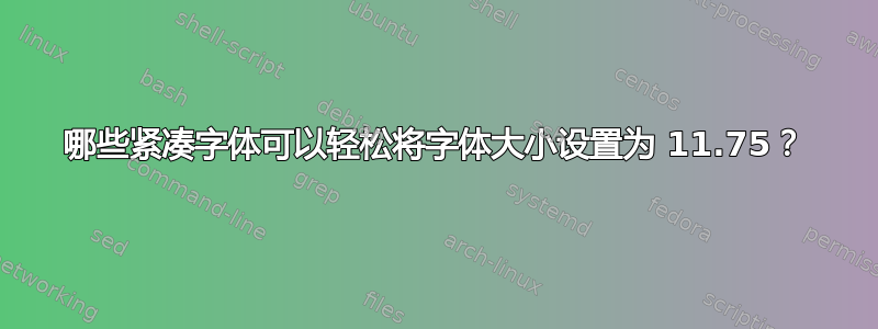 哪些紧凑字体可以轻松将字体大小设置为 11.75？