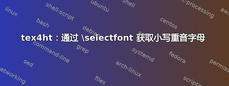 tex4ht：通过 \selectfont 获取小写重音字母