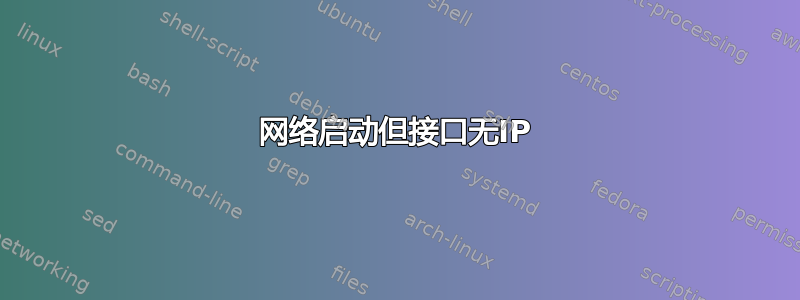 网络启动但接口无IP