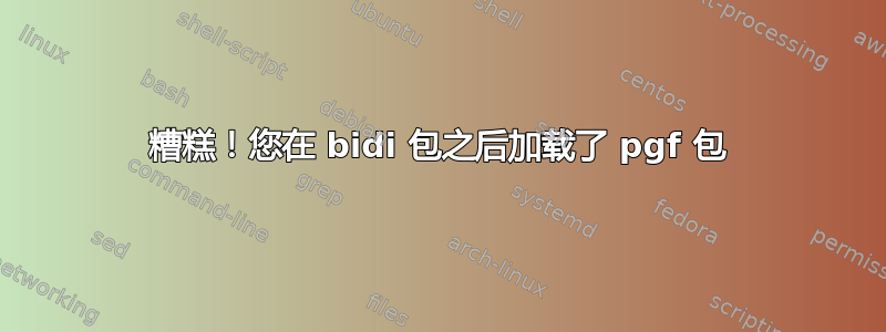 糟糕！您在 bidi 包之后加载了 pgf 包