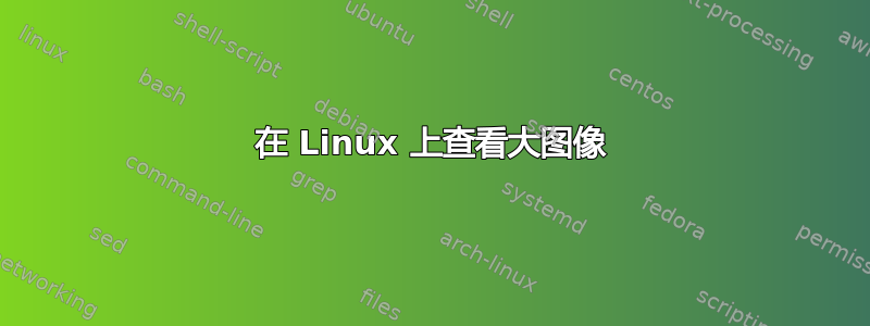 在 Linux 上查看大图像