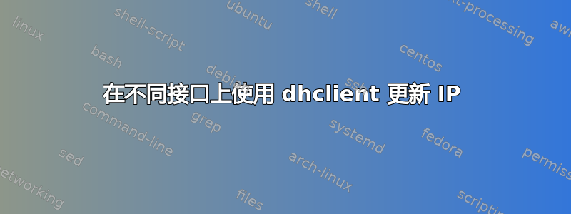 在不同接口上使用 dhclient 更新 IP