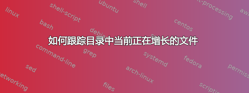 如何跟踪目录中当前正在增长的文件