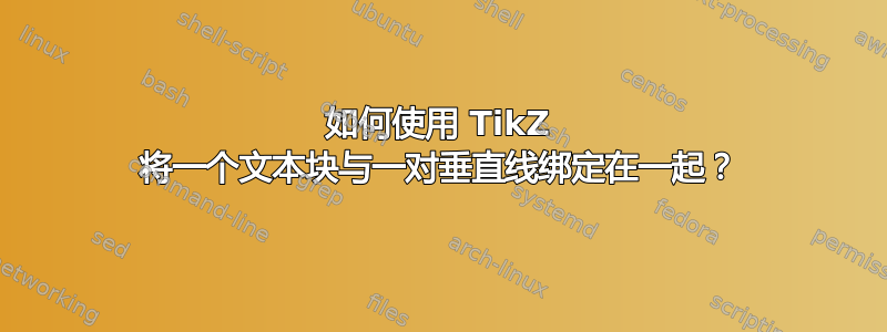 如何使用 TikZ 将一个文本块与一对垂直线绑定在一起？