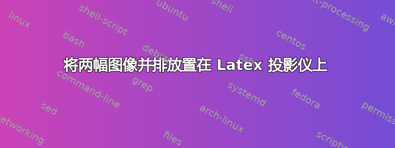 将两幅图像并排放置在 Latex 投影仪上