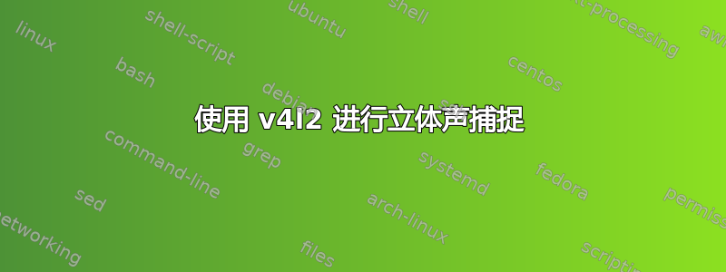 使用 v4l2 进行立体声捕捉