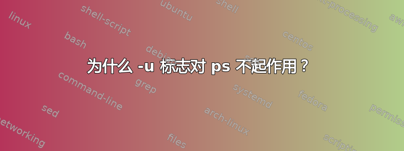 为什么 -u 标志对 ps 不起作用？