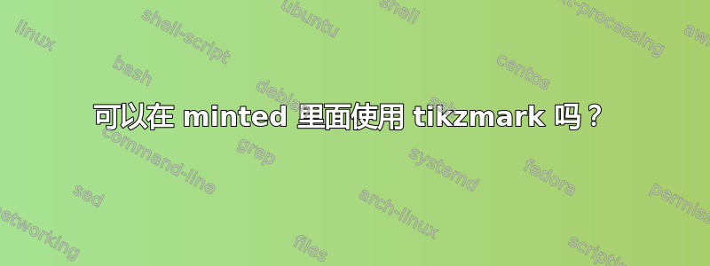 可以在 minted 里面使用 tikzmark 吗？