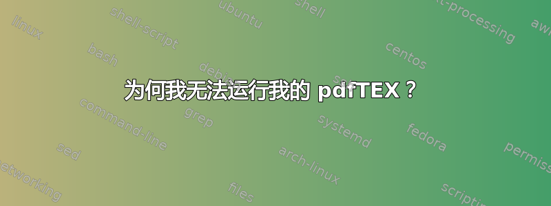 为何我无法运行我的 pdfTEX？