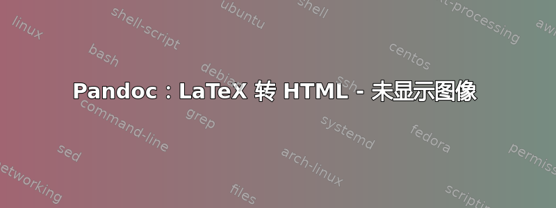 Pandoc：LaTeX 转 HTML - 未显示图像