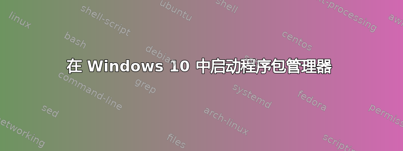 在 Windows 10 中启动程序包管理器