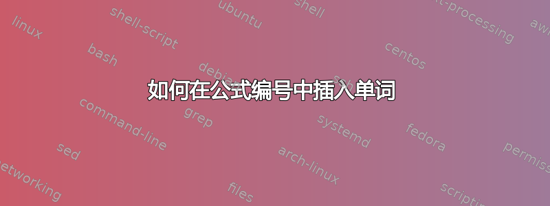 如何在公式编号中插入单词