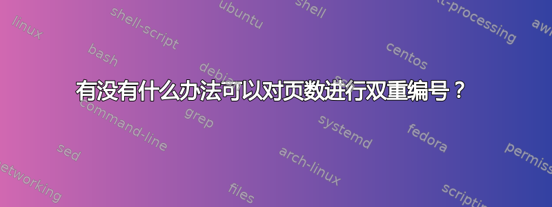 有没有什么办法可以对页数进行双重编号？