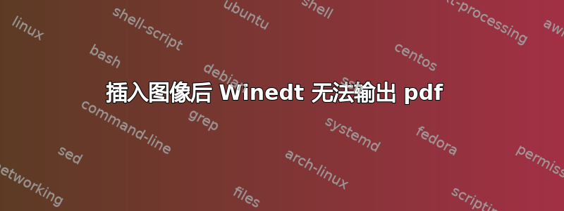 插入图像后 Winedt 无法输出 pdf 