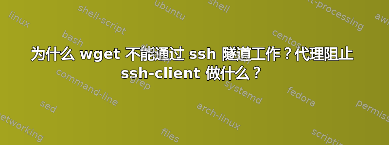 为什么 wget 不能通过 ssh 隧道工作？代理阻止 ssh-client 做什么？