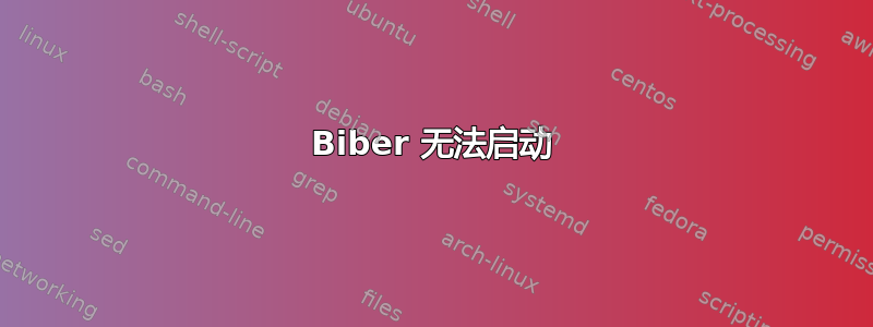 Biber 无法启动