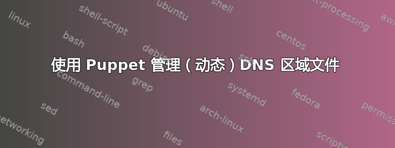 使用 Puppet 管理（动态）DNS 区域文件