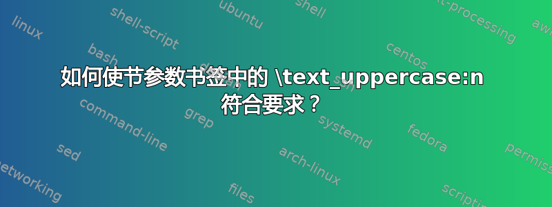 如何使节参数书签中的 \text_uppercase:n 符合要求？