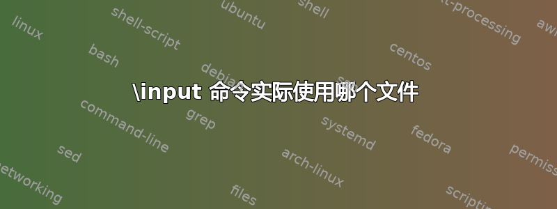 \input 命令实际使用哪个文件