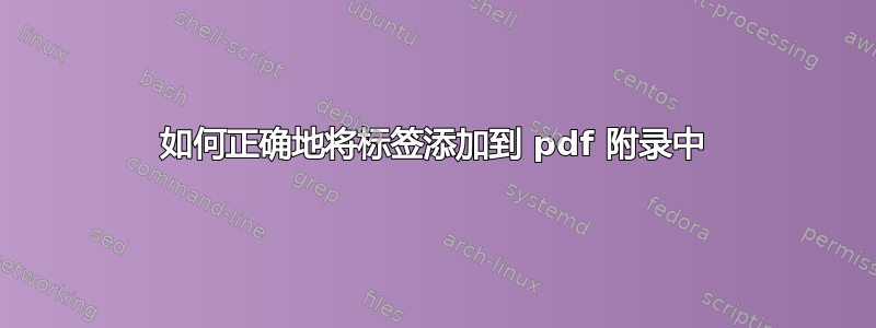 如何正确地将标签添加到 pdf 附录中