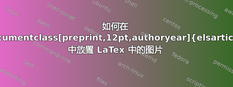 如何在 \documentclass[preprint,12pt,authoryear]{elsarticle} 中放置 LaTex 中的图片