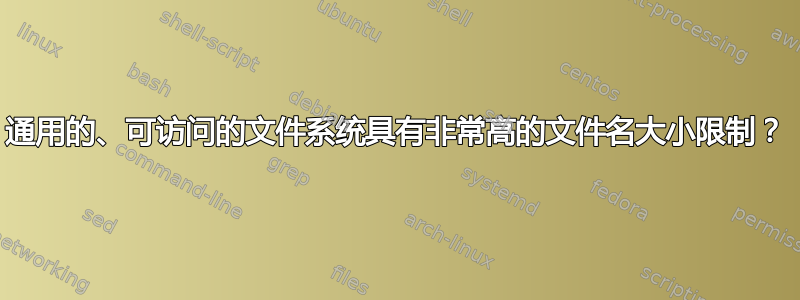 通用的、可访问的文件系统具有非常高的文件名大小限制？