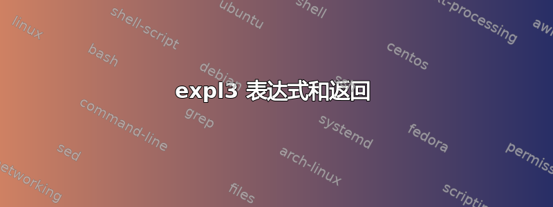 expl3 表达式和返回