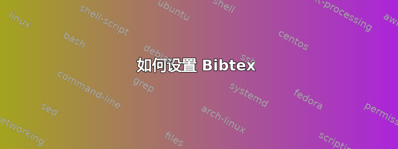 如何设置 Bibtex