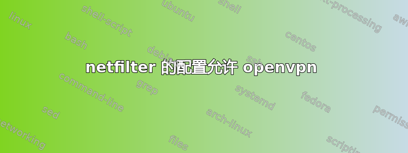 netfilter 的配置允许 openvpn