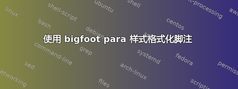 使用 bigfoot para 样式格式化脚注