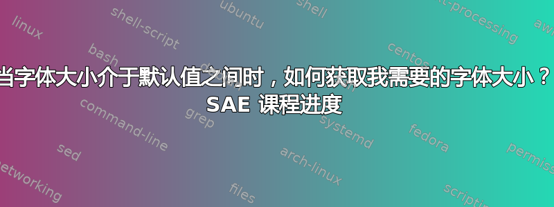 当字体大小介于默认值之间时，如何获取我需要的字体大小？ SAE 课程进度