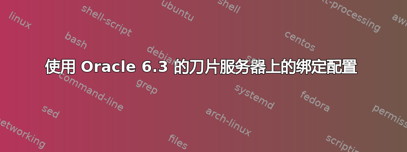 使用 Oracle 6.3 的刀片服务器上的绑定配置