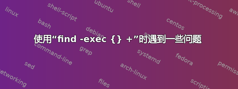 使用“find -exec {} +”时遇到一些问题