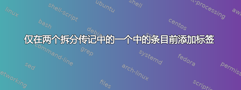 仅在两个拆分传记中的一个中的条目前添加标签