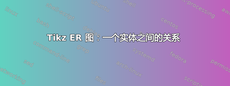 Tikz ER 图：一个实体之间的关系