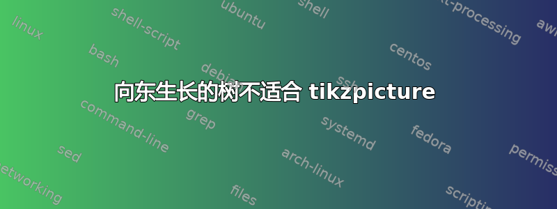 向东生长的树不适合 tikzpicture