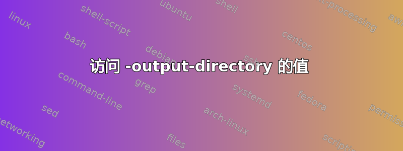 访问 -output-directory 的值