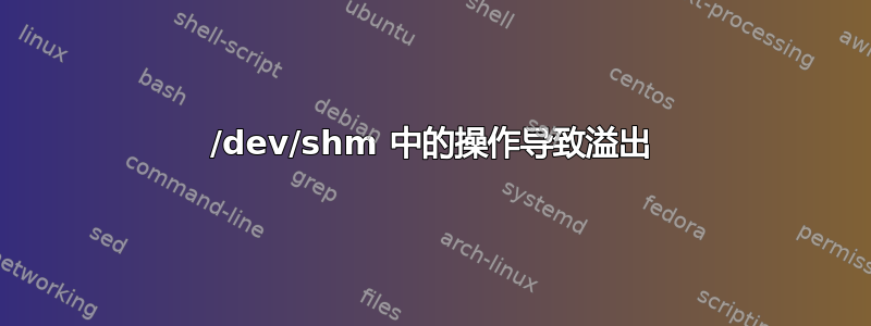 /dev/shm 中的操作导致溢出