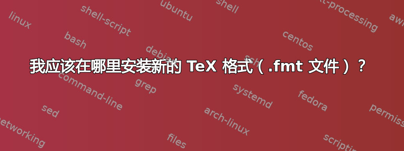 我应该在哪里安装新的 TeX 格式（.fmt 文件）？