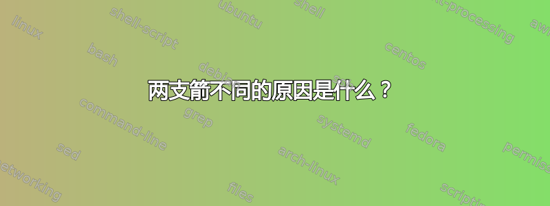 两支箭不同的原因是什么？