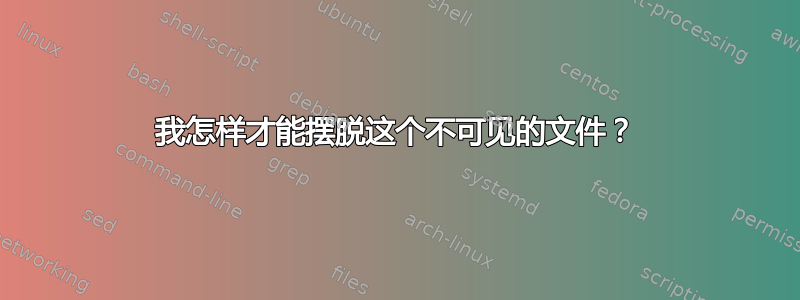 我怎样才能摆脱这个不可见的文件？